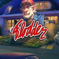 Flodder game icon